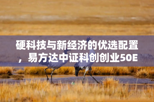 硬科技与新经济的优选配置,易方达中证科创创业50ETF深度指南 硬科技与新经济的优选配置,易方达中证科创创业50ETF深度指南