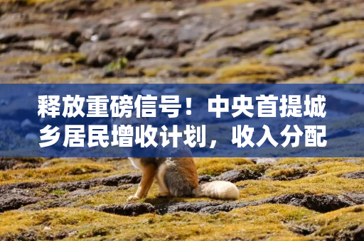 释放重磅信号！中央首提城乡居民增收计划，收入分配制度或迎重大突破