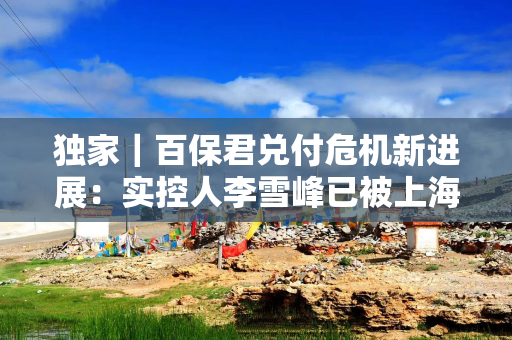 独家｜百保君兑付危机新进展：实控人李雪峰已被上海闵行区检察院批捕