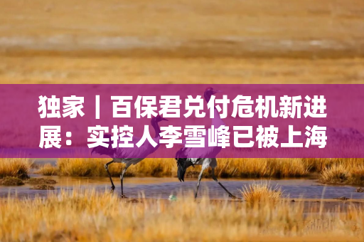 独家|百保君兑付危机新进展:实控人李雪峰已被上海闵行区检察院批捕 独家|百保君兑付危机新进展:实控人李雪峰已被上海闵行区检察院批捕