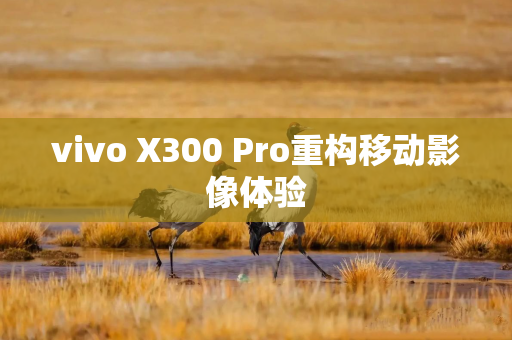 vivo X300 Pro重构移动影像体验