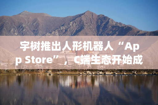 宇树推出人形机器人“App Store”，C端生态开始成形