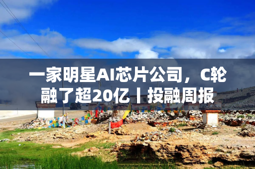 一家明星AI芯片公司，C轮融了超20亿丨投融周报
