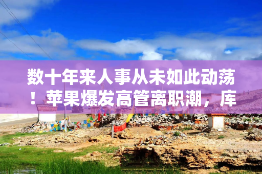 数十年来人事从未如此动荡！苹果爆发高管离职潮，库克去向备受关注