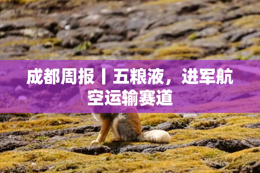 成都周报丨五粮液，进军航空运输赛道