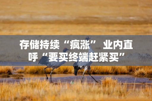 存储持续“疯涨” 业内直呼“要买终端赶紧买”