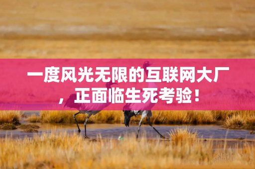 一度风光无限的互联网大厂，正面临生死考验！