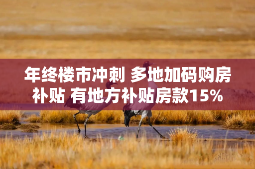 年终楼市冲刺 多地加码购房补贴 有地方补贴房款15% 年终楼市冲刺 多地加码购房补贴 有地方补贴房款15%