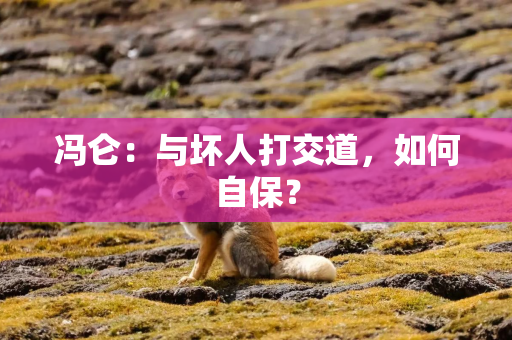 冯仑:与坏人打交道,如何自保? 冯仑:与坏人打交道,如何自保?