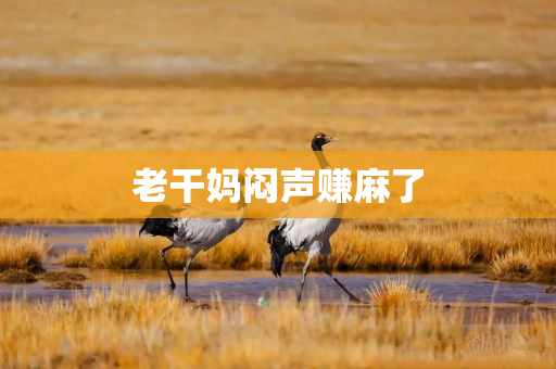 老干妈闷声赚麻了