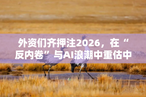 外资们齐押注2026,在“反内卷”与AI浪潮中重估中国与全球股市 外资们齐押注2026,在“反内卷”与AI浪潮中重估中国与全球股市