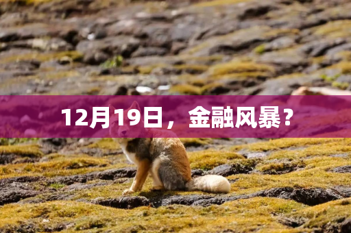 12月19日,金融风暴? 12月19日,金融风暴?