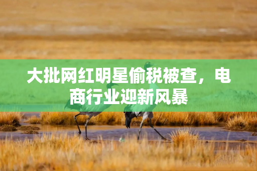 大批网红明星偷税被查,电商行业迎新风暴 大批网红明星偷税被查,电商行业迎新风暴