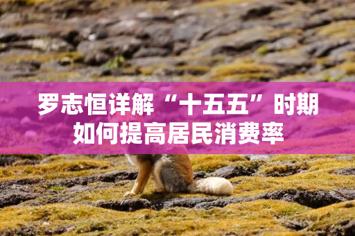 罗志恒详解“十五五”时期如何提高居民消费率