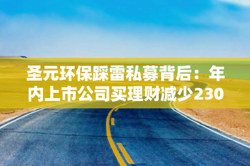 圣元环保踩雷私募背后：年内上市公司买理财减少2300亿，有公司收益降20%