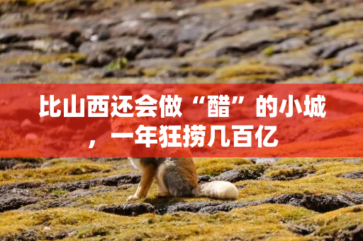 比山西还会做“醋”的小城，一年狂捞几百亿