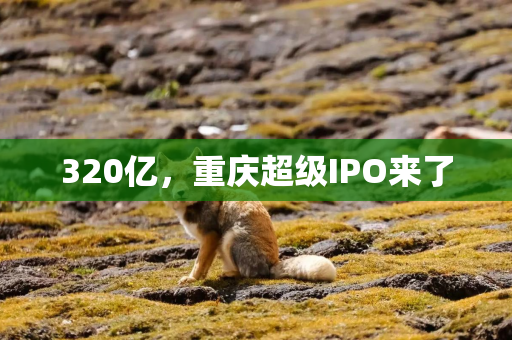 320亿,重庆超级IPO来了 320亿,重庆超级IPO来了