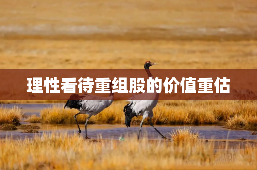 理性看待重组股的价值重估 理性看待重组股的价值重估