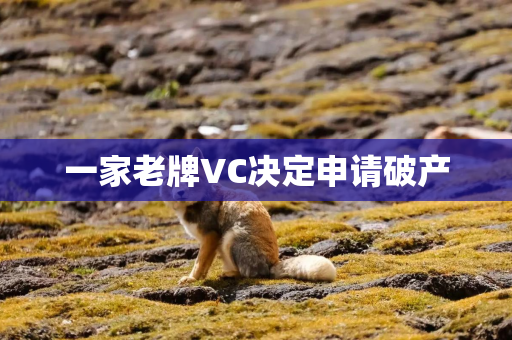 一家老牌VC决定申请破产