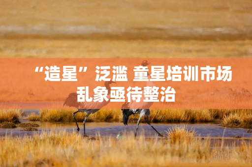 “造星”泛滥 童星培训市场乱象亟待整治