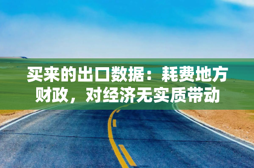 买来的出口数据:耗费地方财政,对经济无实质带动 买来的出口数据:耗费地方财政,对经济无实质带动