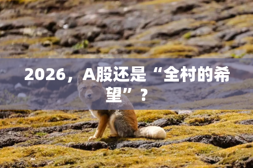 2026,A股还是“全村的希望”? 2026,A股还是“全村的希望”?