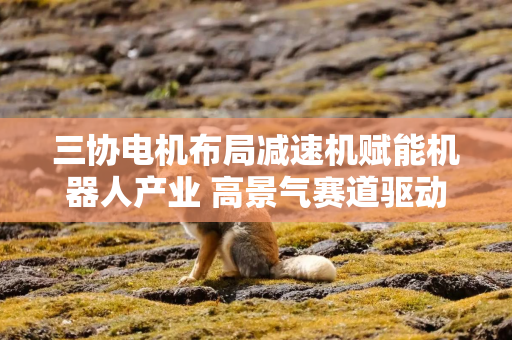 三协电机布局减速机赋能机器人产业 高景气赛道驱动业绩放量可期