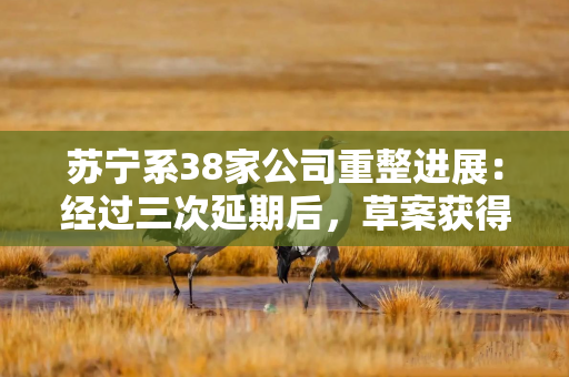 苏宁系38家公司重整进展：经过三次延期后，草案获得通过