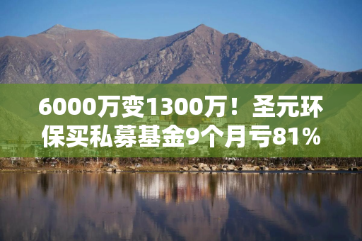 6000万变1300万！圣元环保买私募基金9个月亏81%，该产品曾是3家A股公司前十大股东