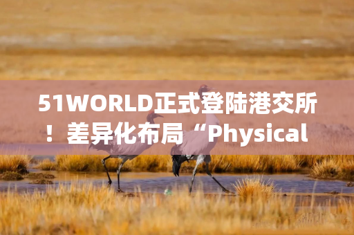 51WORLD正式登陆港交所！差异化布局“Physical AI ”，出海开辟“第二战场”