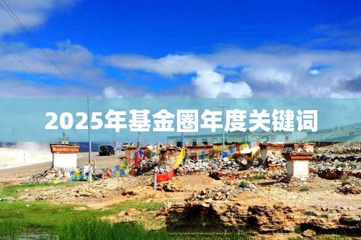 2025年基金圈年度关键词