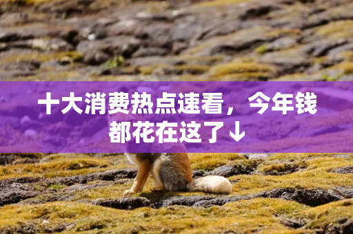 十大消费热点速看,今年钱都花在这了↓ 十大消费热点速看,今年钱都花在这了↓