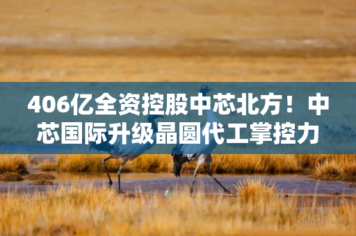 406亿全资控股中芯北方！中芯国际升级晶圆代工掌控力