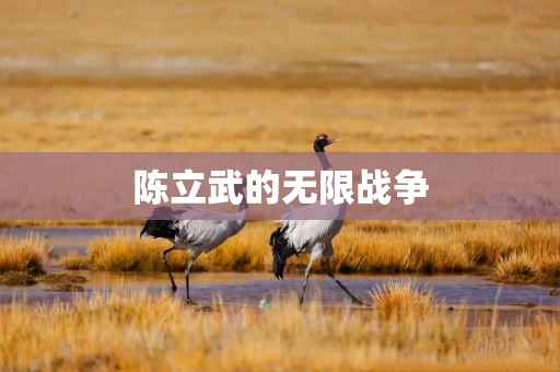 陈立武的无限战争 陈立武的无限战争