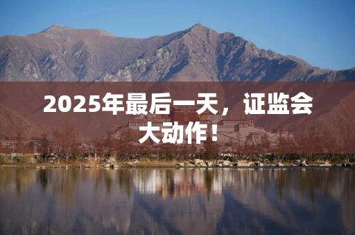 2025年最后一天，证监会大动作！
