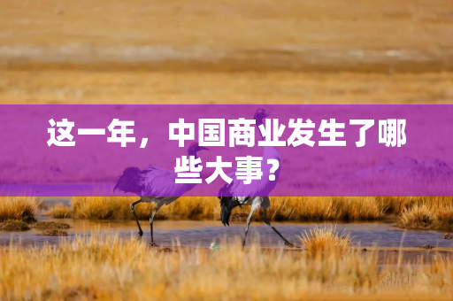 这一年，中国商业发生了哪些大事？