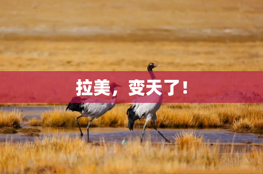 拉美，变天了！