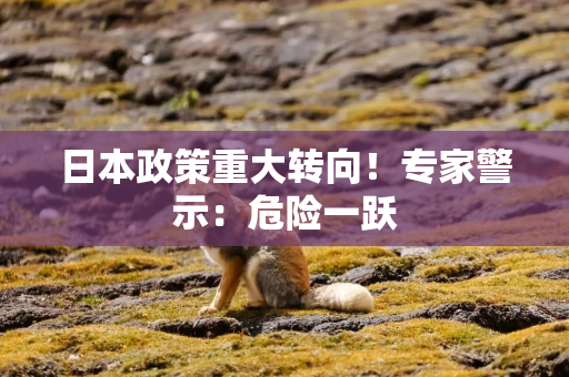 日本政策重大转向！专家警示：危险一跃
