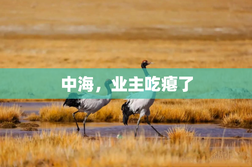 中海，业主吃瘪了