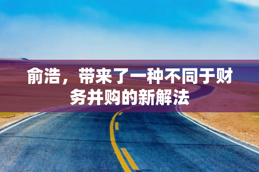 俞浩,带来了一种不同于财务并购的新解法 俞浩,带来了一种不同于财务并购的新解法