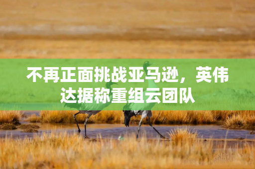 不再正面挑战亚马逊，英伟达据称重组云团队