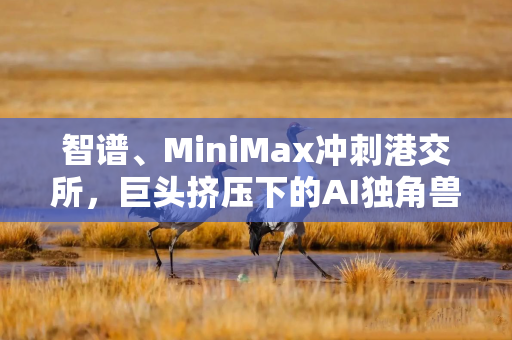 智谱、MiniMax冲刺港交所，巨头挤压下的AI独角兽上市找钱