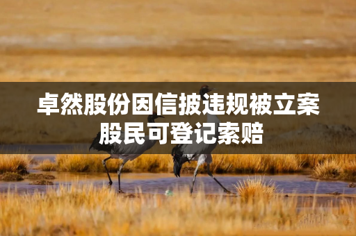 卓然股份因信披违规被立案 股民可登记索赔