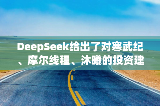 DeepSeek给出了对寒武纪、摩尔线程、沐曦的投资建议
