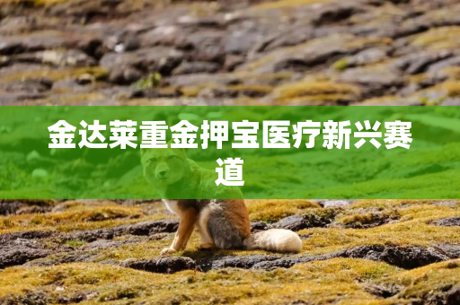 金达莱重金押宝医疗新兴赛道