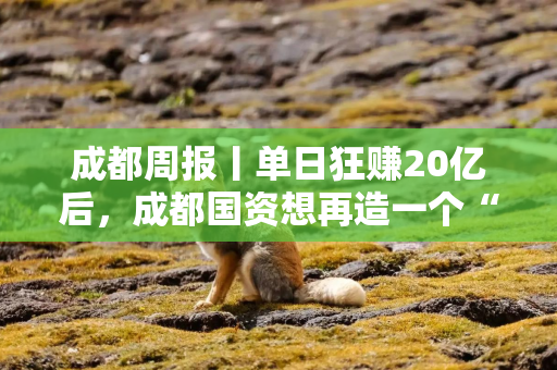 成都周报丨单日狂赚20亿后,成都国资想再造一个“沐曦” 成都周报丨单日狂赚20亿后,成都国资想再造一个“沐曦”