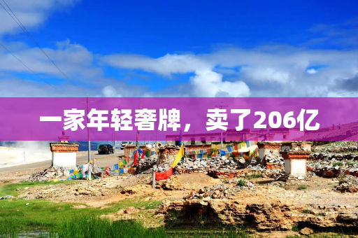 一家年轻奢牌，卖了206亿