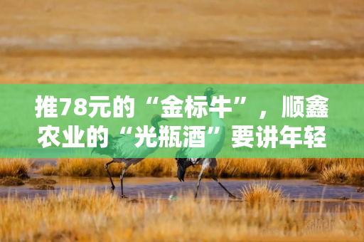 推78元的“金标牛”，顺鑫农业的“光瓶酒”要讲年轻化新故事？