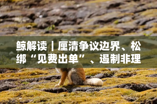 鲸解读｜厘清争议边界、松绑“见费出单”、遏制非理性竞争行为，监管明确非车险“报行合一”执行标准