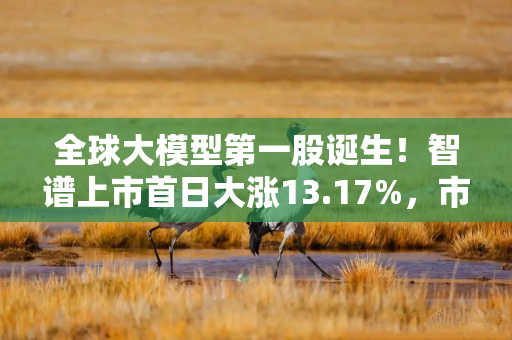 全球大模型第一股诞生！智谱上市首日大涨13.17%，市值达579亿港元